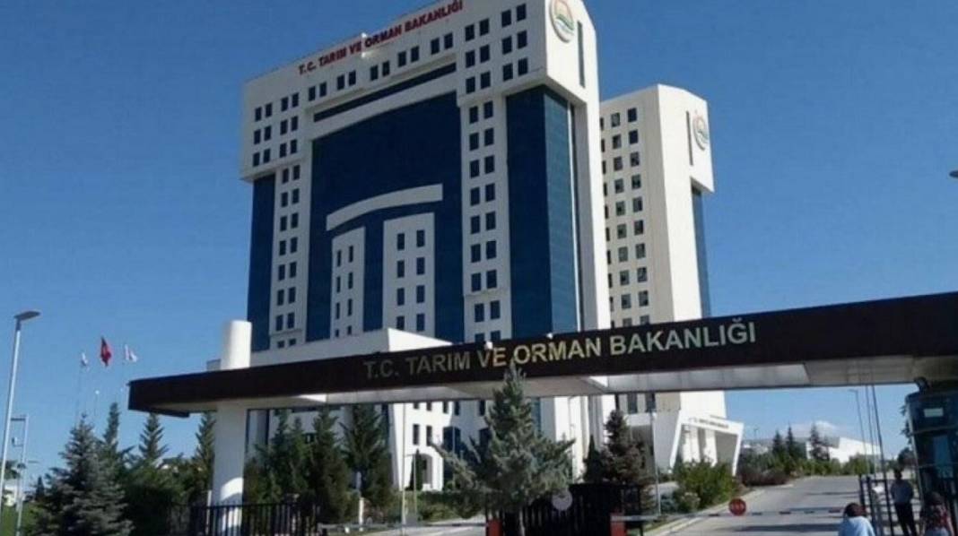 Tarım ve Orman Bakanlığı 1500 işçi alımı yapacak! Tarım ve Orman Bakanlığı işçi alımı ne zaman, şartları neler? 1